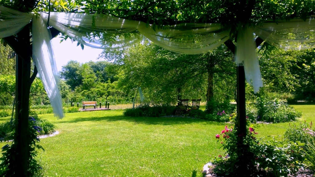 Looking out from under the Flowering Gazebo